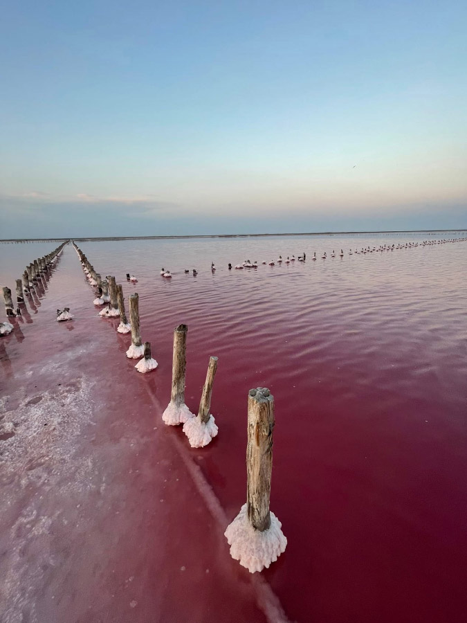 Отдых в Мирном: Розовое озеро в Крыму