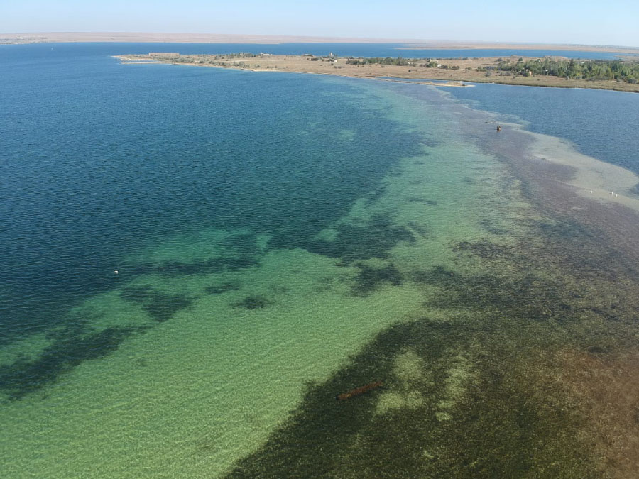 Тепло и мелко в Крыму Где в Крыму теплая вода и мелко